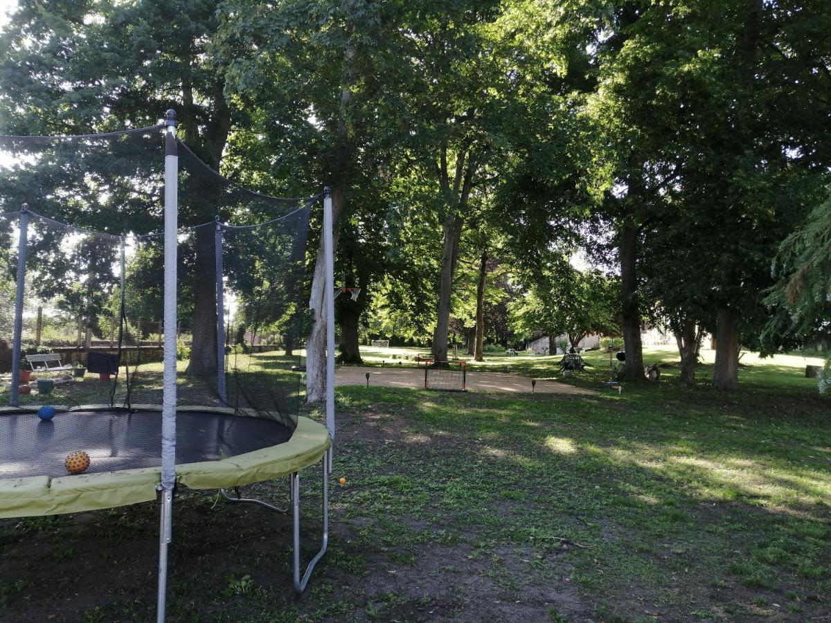 La Tour Du Roy Villa Villeneuve-sur-Allier Dış mekan fotoğraf